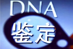 泰州DNA亲子鉴定哪里办理，泰州权威DNA亲子鉴定中心