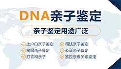 泰州DNA鉴定在哪个地方做，泰州权威亲子鉴定中心