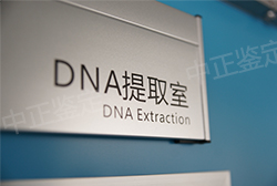 泰州亲子鉴定怎么预约