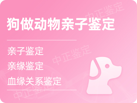 泰州狗做动物亲子鉴定