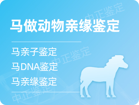 泰州马做动物亲缘鉴定