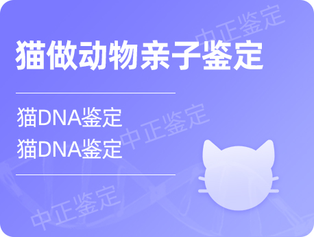 泰州猫做动物亲子鉴定