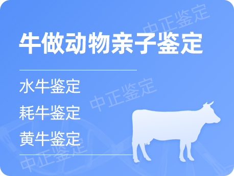泰州牛做动物亲子鉴定