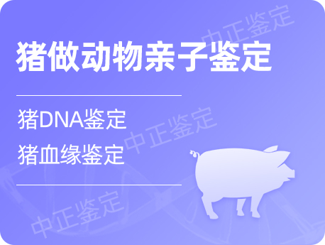 泰州猪做动物亲子鉴定